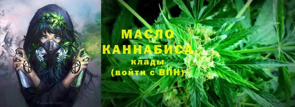 эйфоретик Арсеньев